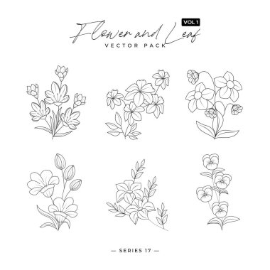 El çizimi düğün otları zarif kır çiçekleri - yapraklar ve dallar doğa karalamaları