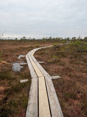 Uzaktaki ufuktaki görkemli dağlar tarafından çerçevelenmiş taşlardan oluşan bir nehrin yumuşak kucaklamasının aktığı yerde. Dağların üzerinde hafif bir sis var..