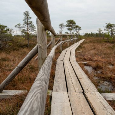 Uzaktaki ufuktaki görkemli dağlar tarafından çerçevelenmiş taşlardan oluşan bir nehrin yumuşak kucaklamasının aktığı yerde. Dağların üzerinde hafif bir sis var..
