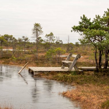 Küçük gölün güzelliği, büyüleyici sonbahar bataklığının sürekli değişen tuval şeklinde donan çiçeklerle artar..
