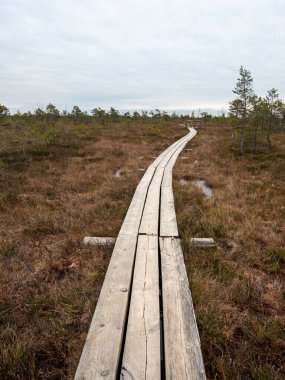 Bu ahşap iz dolaşın; her gıcırdayan tahta eski suların sırları ve fısıltıları hakkında hikayeler anlatır.
