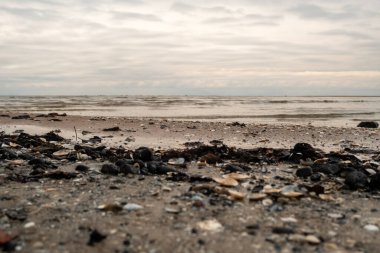 Deniz tuvalini boyarken, deniz kabukları ve yosunlar kumlu sahneyi süslerken, sürekli yer değiştiren sahilde okyanusun sonsuz dansının fısıltıları....