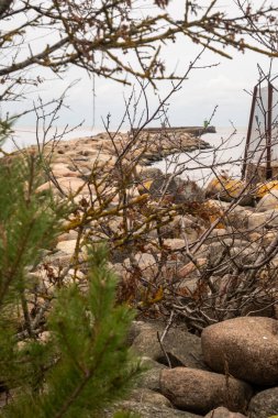 Taştan iskele: görkemli denizi denetleyen fenere giden bir yol, kara ve ufukta birleşen, uçsuz bucaksız bilinmeyene yol gösteren gezginler..