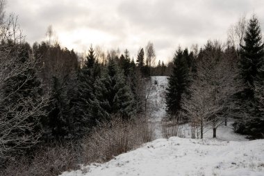 Bakir bir harikalar diyarında bir yolculuk: Pokainu Mezs 'ın görkemli ilkelerinden karla öpülen tırmanış.