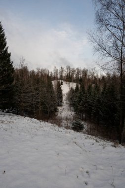 Karla kaplı ağaçların arasında, bu patika Pokainu Mezs, Dobele, Latvija 'nın kalbinde huzur dolu bir masal örüyor..