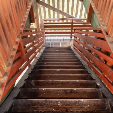 Tervetes Dabas Parks 'ın gözlem kulesinden inen ahşap merdivenler Letvija' nın sakin çöllerine büyüleyici bir yol sunuyor..