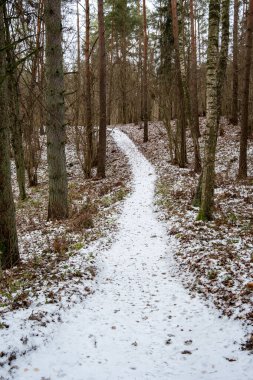 Tervete 'nin karla kaplı yollarında doğanın sanatını keşfetmek