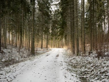 Karla kaplı yolda ilerlerken, güneş ışınlarının ruhani güzelliğinin tadını çıkarırken, buzlu ormanın içinden geçerken..