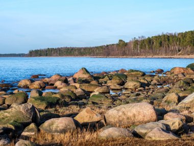 Alacakaranlık sessizliğinde, Veczemju Klintis dingin bir cazibe yayıyor, kayalık sahil, günbatımının ılık parıltısıyla yıkanan sakin bir cennet haline geliyor..