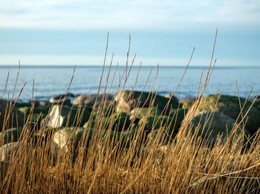 Gün ışığı söndükçe, Veczemju Klintis huzur ve sükunet için bir sığınak olarak ortaya çıkar. Kayalık sahil, gün batımının canlı renkleriyle pürüzsüz bir şekilde birleşir..