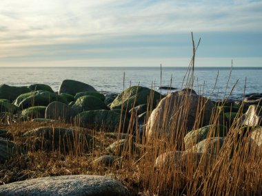 Veczemju Klintis gün batımında büyüleyici bir aura sergiliyor. Kayalık sahil kıyısı, akşamın ışıltısıyla aydınlanıyor ve benzersiz bir ihtişam sahnesi yaratıyor.