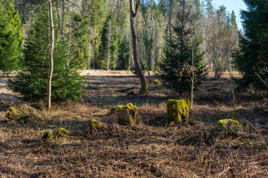 Amatas Dabas Taka 'nın gizli mücevherlerini keşfedin. Nehir kenarındaki patikada gezinirken. Etrafınız dehşet verici uçurumlarla çevrili.