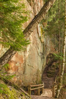 Letonya 'daki Licu-Langu kayalıkları, saf ihtişamı ve engebeli güzellikleriyle onlara bakan herkese hayranlık ve merak uyandırıyor.