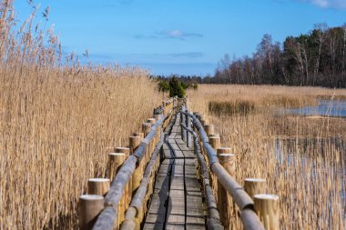 Kanieris 'in ahşap patikasından geçmek Letonya' nın bataklıklarının gizli hazinelerini ortaya çıkarır. Her adım, doğal ihtişamın kalbine giden bir yolculuktur..