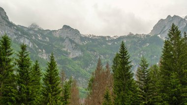 Görkemli Cimon del Froppa, Dolomitlerin üzerinde yükseliyor, parlak mavi gökyüzüne oyulmuş sivri silueti.