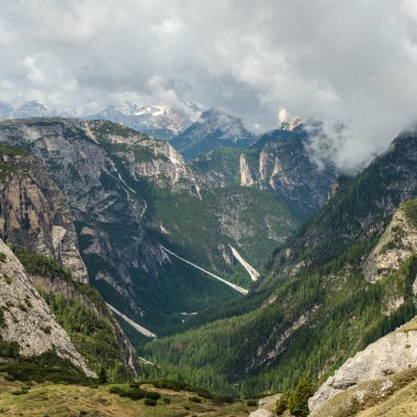 Haziran 'da Dolomitlerin eşsiz güzelliğini yakalayan yemyeşil çimenlerin ön planına karşı kar kaplı Kir Grupları' nın çarpıcı kontrastını deneyimleyin.