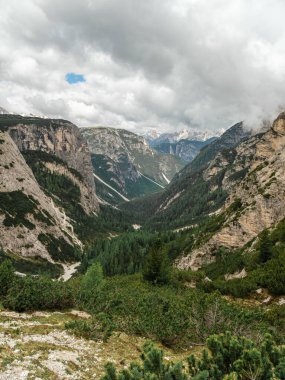 Haziran 'da Dolomitlerin eşsiz güzelliğini yakalayan yemyeşil çimenlerin ön planına karşı kar kaplı Kir Grupları' nın çarpıcı kontrastını deneyimleyin.