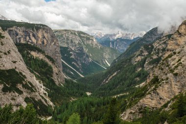 Karlı Tre Cime Circuit Patikası. Dolomitler, Haziran 'ın sisi boyunca aralıklarla ortaya çıkıyorlar.