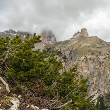 Haziran 'da Tre Cime Turu: Karlı yollar ve Dolomite zirveleri mistik sisli topraklara karışıyor