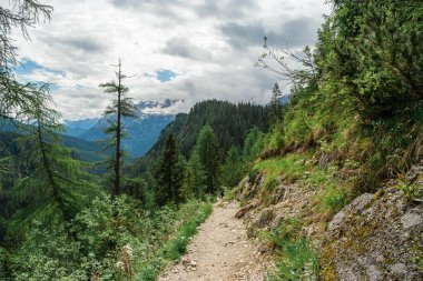 Lago di Sorapis 'e yapılan yürüyüş heybetli Dolomite zirvelerinin nefes kesici manzarasını gözler önüne seriyor.