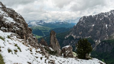 Haziran 'da Dolomitlerin eşsiz güzelliğini yakalayan yemyeşil çimenlerin ön planına karşı kar kaplı grupların çarpıcı kontrastını deneyimleyin.