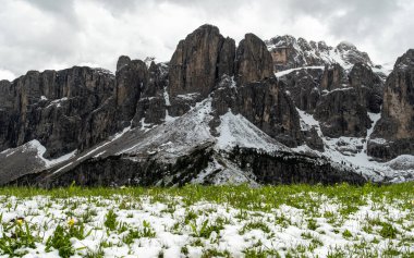 Haziran 'da Dolomitlerin eşsiz güzelliğini yakalayan yemyeşil çimenlerin ön planına karşı kar kaplı grupların çarpıcı kontrastını deneyimleyin.