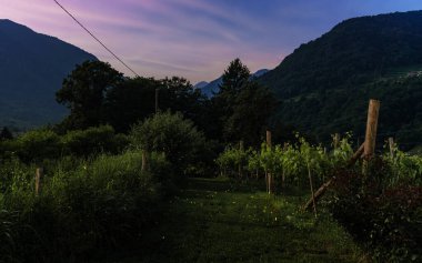 İtalyan kırsalının güzelliğini deneyimleyin. Ateşböceklerinin narin dansıyla aydınlanır. Her bir parıltı, büyüleyici gece atmosferine katılır..