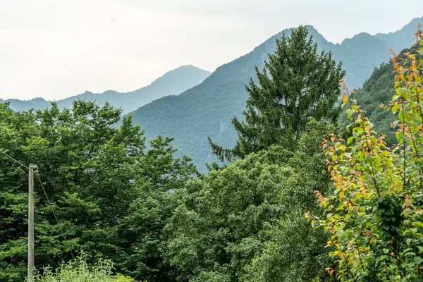 stock image The majestic mountains of rural Italy, blanketed in vibrant forests, present a peaceful and awe-inspiring scene of natural splendor