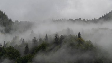 Dolomitler altın bir ışıltıyla canlanır, kaplama niteliklerini en iyi paletle gösterirler.