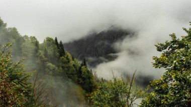 Dolomitler altın bir ışıltıyla canlanır, kaplama niteliklerini en iyi paletle gösterirler.