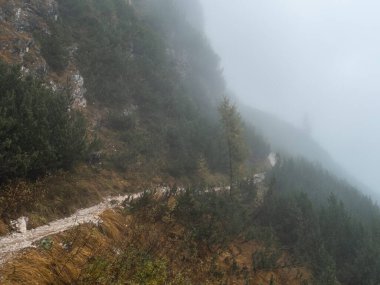 Sis ve gizemle kaplanmış nefes kesen Dolomitlerin arasından süzülen sakin, sisli bir yol maceracılar ve doğa aşıkları için mükemmel.