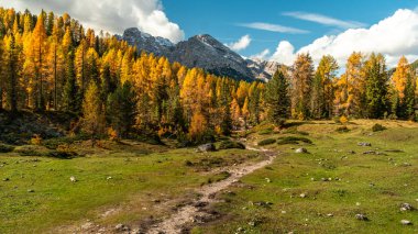 Sonbahar heybetli Dolomitler üzerinde canlı bir duvar halısı dokuyor..