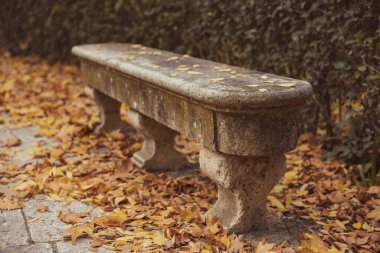 Eski bir taş banka yakın çekim sizi oturmaya ve güzel bir sonbahar sezonunu düşünmeye davet ediyor, kuru yapraklarla kaplı bir parkta, ağaçlar ve bitkilerle çevrili, kırmızı kahverengiler..