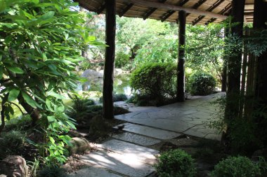 Bitkileri olan güzel bir tropikal bahçe