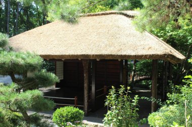 Ormanın bambu çatısı