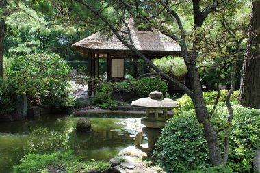 the japanese garden in the fall.