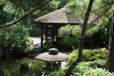 Parkın güzel manzarası