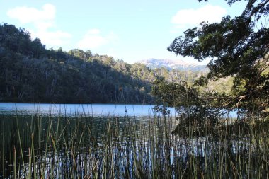 Ağaçlı ve dağlı göl