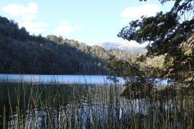 Yeşillik ve ağaçlarla çevrili bir göl.