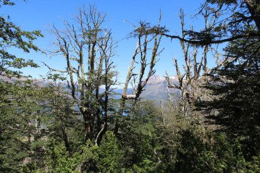 Dağların güzel manzarası