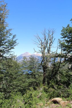 Prekekeis Dağı manzarası, hindi