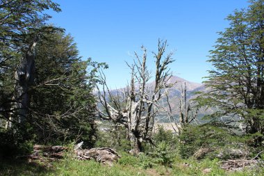 İtalyan dolomitlerindeki güzel dağ manzarası.