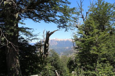 Dağların güzel manzarası