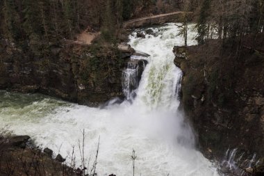 Ormanda şelale, nehir Doubs