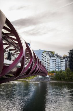 Yolculuk rotası Calgary. Arka planda Modern Şehir Binaları ile Bow Nehri üzerindeki Barış Köprüsü