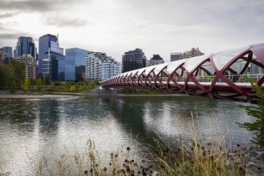 Yolculuk rotası Calgary. Arka planda Modern Şehir Binaları ile Bow Nehri üzerindeki Barış Köprüsü