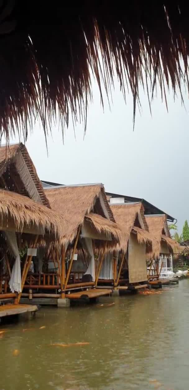 Nehirde Bir Sürü Balığın Yüzdüğü Geleneksel Tatil Köyünde Güzel Yağmurlu — Stok video