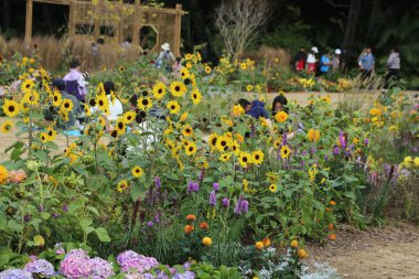 Bir grup insan, ayçiçekleri de dahil olmak üzere çeşitli çiçeklerle bir bahçede oturuyor.