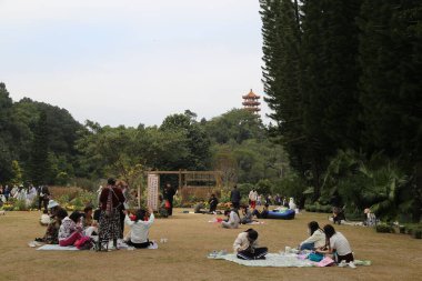 Bir grup insan bir parkta çimlerin üzerinde oturuyor. Manzara sakin ve huzurlu.