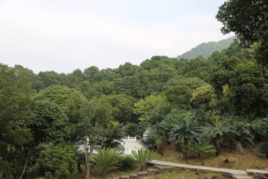 Ortasında beyaz bir bina olan güzel, yemyeşil bir orman. Ağaçlar uzun ve yoğundur. Huzurlu ve sakin bir atmosfer yaratırlar. Beyaz bina doğal zemine karşı duruyor.